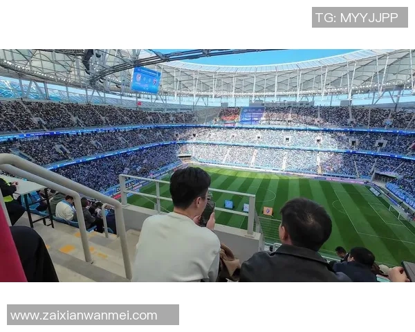 陈娜独家分享欧冠足球心得与技巧助你提升观赛体验